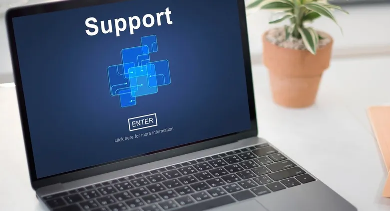 Website Support and Bug Fixes